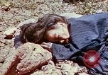 Image of 3rd Battalion 22nd Marines Okinawa Ryukyu Islands, 1945, second 24 stock footage video 65675052816