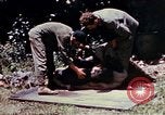 Image of 3rd Battalion 22nd Marines Okinawa Ryukyu Islands, 1945, second 39 stock footage video 65675052816