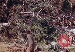 Image of 1st Battalion 4th Marines Okinawa Ryukyu Islands, 1945, second 9 stock footage video 65675052818