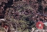 Image of 1st Battalion 4th Marines Okinawa Ryukyu Islands, 1945, second 10 stock footage video 65675052818