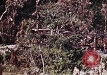 Image of 1st Battalion 4th Marines Okinawa Ryukyu Islands, 1945, second 11 stock footage video 65675052818