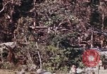 Image of 1st Battalion 4th Marines Okinawa Ryukyu Islands, 1945, second 12 stock footage video 65675052818