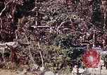 Image of 1st Battalion 4th Marines Okinawa Ryukyu Islands, 1945, second 13 stock footage video 65675052818