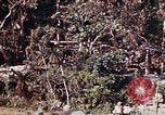 Image of 1st Battalion 4th Marines Okinawa Ryukyu Islands, 1945, second 14 stock footage video 65675052818