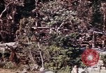 Image of 1st Battalion 4th Marines Okinawa Ryukyu Islands, 1945, second 15 stock footage video 65675052818