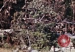 Image of 1st Battalion 4th Marines Okinawa Ryukyu Islands, 1945, second 16 stock footage video 65675052818