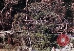 Image of 1st Battalion 4th Marines Okinawa Ryukyu Islands, 1945, second 17 stock footage video 65675052818