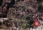 Image of 1st Battalion 4th Marines Okinawa Ryukyu Islands, 1945, second 18 stock footage video 65675052818