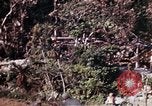 Image of 1st Battalion 4th Marines Okinawa Ryukyu Islands, 1945, second 19 stock footage video 65675052818