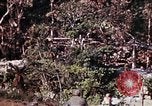 Image of 1st Battalion 4th Marines Okinawa Ryukyu Islands, 1945, second 20 stock footage video 65675052818