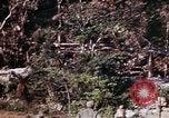 Image of 1st Battalion 4th Marines Okinawa Ryukyu Islands, 1945, second 21 stock footage video 65675052818