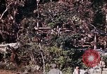 Image of 1st Battalion 4th Marines Okinawa Ryukyu Islands, 1945, second 22 stock footage video 65675052818