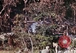 Image of 1st Battalion 4th Marines Okinawa Ryukyu Islands, 1945, second 25 stock footage video 65675052818