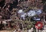 Image of 1st Battalion 4th Marines Okinawa Ryukyu Islands, 1945, second 28 stock footage video 65675052818