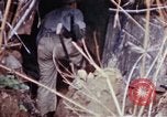 Image of 1st Battalion 4th Marines Okinawa Ryukyu Islands, 1945, second 41 stock footage video 65675052818