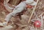 Image of 1st Battalion 4th Marines Okinawa Ryukyu Islands, 1945, second 51 stock footage video 65675052818
