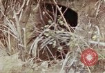 Image of 1st Battalion 4th Marines Okinawa Ryukyu Islands, 1945, second 55 stock footage video 65675052818