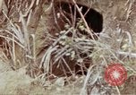 Image of 1st Battalion 4th Marines Okinawa Ryukyu Islands, 1945, second 56 stock footage video 65675052818