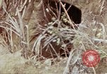 Image of 1st Battalion 4th Marines Okinawa Ryukyu Islands, 1945, second 57 stock footage video 65675052818
