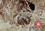 Image of 1st Battalion 4th Marines Okinawa Ryukyu Islands, 1945, second 58 stock footage video 65675052818
