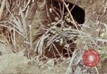Image of 1st Battalion 4th Marines Okinawa Ryukyu Islands, 1945, second 60 stock footage video 65675052818