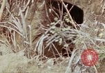 Image of 1st Battalion 4th Marines Okinawa Ryukyu Islands, 1945, second 61 stock footage video 65675052818