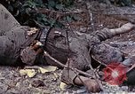 Image of dead bodies of Japanese soldiers Okinawa Ryukyu Islands, 1945, second 1 stock footage video 65675052819