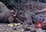Image of dead bodies of Japanese soldiers Okinawa Ryukyu Islands, 1945, second 3 stock footage video 65675052819