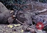 Image of dead bodies of Japanese soldiers Okinawa Ryukyu Islands, 1945, second 4 stock footage video 65675052819