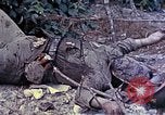 Image of dead bodies of Japanese soldiers Okinawa Ryukyu Islands, 1945, second 5 stock footage video 65675052819