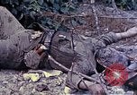 Image of dead bodies of Japanese soldiers Okinawa Ryukyu Islands, 1945, second 6 stock footage video 65675052819