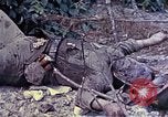 Image of dead bodies of Japanese soldiers Okinawa Ryukyu Islands, 1945, second 8 stock footage video 65675052819