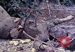 Image of dead bodies of Japanese soldiers Okinawa Ryukyu Islands, 1945, second 9 stock footage video 65675052819