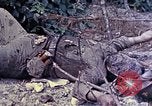Image of dead bodies of Japanese soldiers Okinawa Ryukyu Islands, 1945, second 11 stock footage video 65675052819