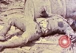 Image of dead bodies of Japanese soldiers Okinawa Ryukyu Islands, 1945, second 13 stock footage video 65675052819