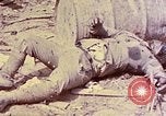 Image of dead bodies of Japanese soldiers Okinawa Ryukyu Islands, 1945, second 14 stock footage video 65675052819