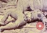 Image of dead bodies of Japanese soldiers Okinawa Ryukyu Islands, 1945, second 15 stock footage video 65675052819