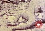 Image of dead bodies of Japanese soldiers Okinawa Ryukyu Islands, 1945, second 16 stock footage video 65675052819
