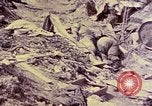 Image of dead bodies of Japanese soldiers Okinawa Ryukyu Islands, 1945, second 29 stock footage video 65675052819