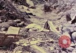 Image of dead bodies of Japanese soldiers Okinawa Ryukyu Islands, 1945, second 36 stock footage video 65675052819