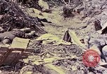 Image of dead bodies of Japanese soldiers Okinawa Ryukyu Islands, 1945, second 37 stock footage video 65675052819