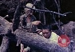 Image of United States Marines Okinawa Ryukyu Islands, 1945, second 28 stock footage video 65675052820