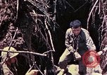 Image of United States Marines Okinawa Ryukyu Islands, 1945, second 46 stock footage video 65675052820