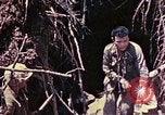 Image of United States Marines Okinawa Ryukyu Islands, 1945, second 47 stock footage video 65675052820