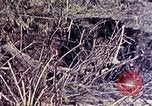 Image of United States Marines Okinawa Ryukyu Islands, 1945, second 30 stock footage video 65675052821
