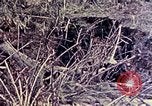 Image of United States Marines Okinawa Ryukyu Islands, 1945, second 31 stock footage video 65675052821