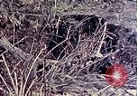Image of United States Marines Okinawa Ryukyu Islands, 1945, second 32 stock footage video 65675052821