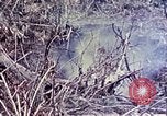 Image of United States Marines Okinawa Ryukyu Islands, 1945, second 35 stock footage video 65675052821