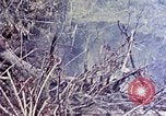 Image of United States Marines Okinawa Ryukyu Islands, 1945, second 36 stock footage video 65675052821