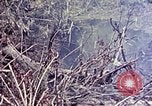 Image of United States Marines Okinawa Ryukyu Islands, 1945, second 37 stock footage video 65675052821
